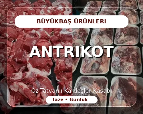 Antrikot