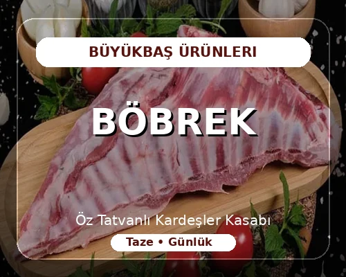Böbrek