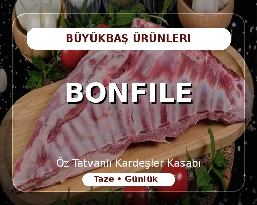 Bonfile