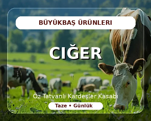 Ciğer