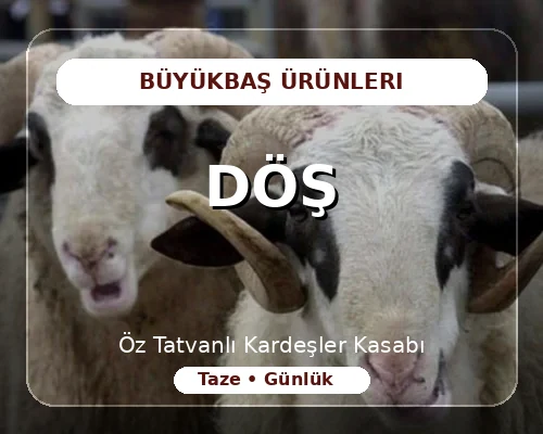 Döş