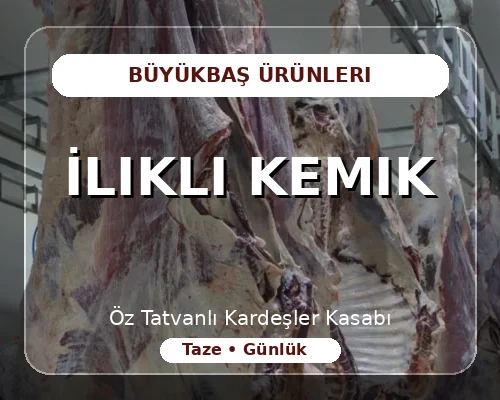 İlikli Kemik