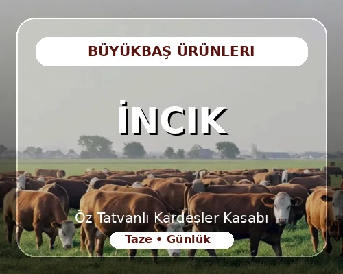İncik