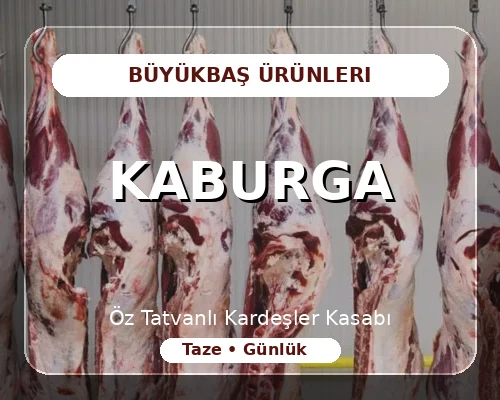 Kaburga