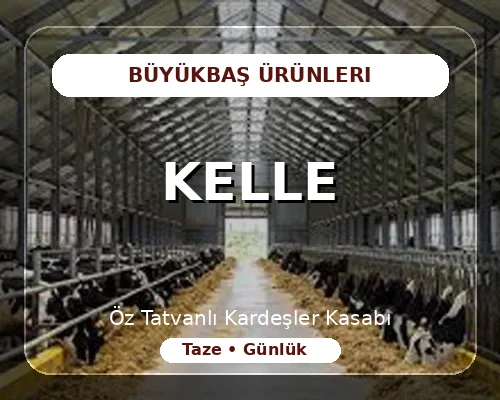 Kelle