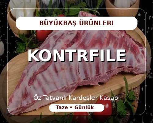Kontrfile