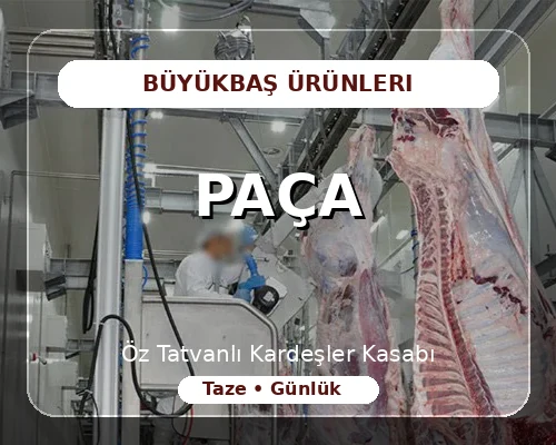 Paça