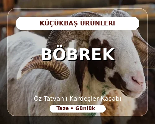 Böbrek