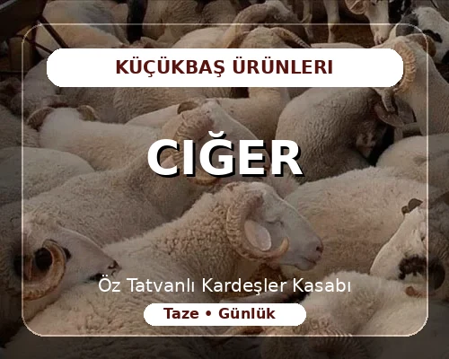 Ciğer