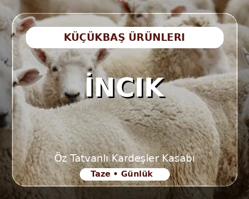 İncik