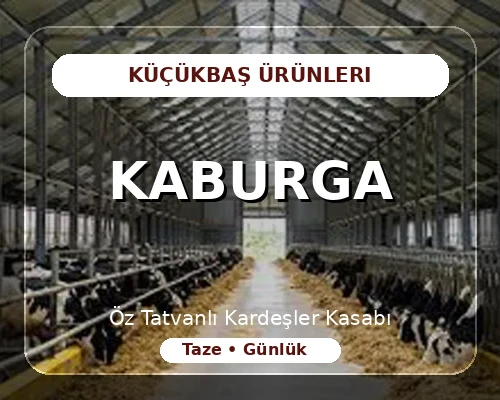 Kaburga