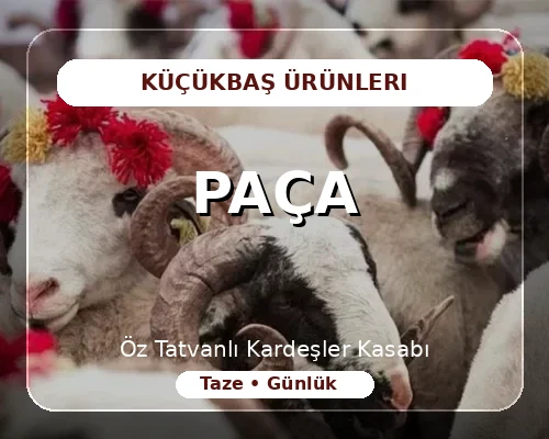 Paça