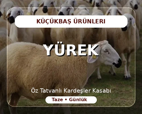 Yürek